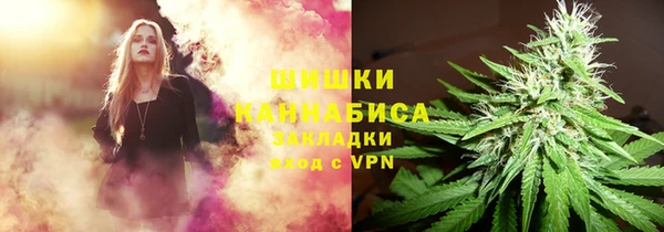 крисы Нестеровская