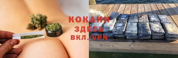 СК Зерноград