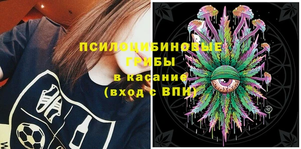 сатива Калининец