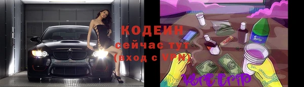 СК Зерноград