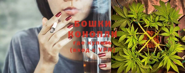 СК Зерноград