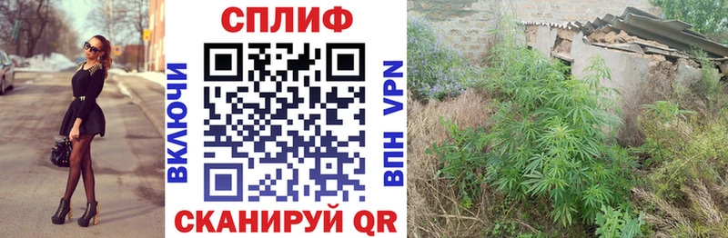 продажа наркотиков  Горняк  площадка какой сайт  Каннабис MAZAR 